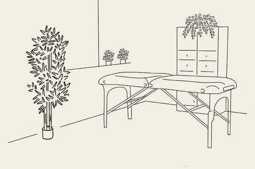 Osteopathic consultation in De Pinte